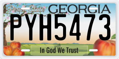 GA license plate PYH5473