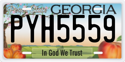 GA license plate PYH5559