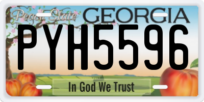 GA license plate PYH5596