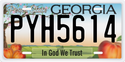 GA license plate PYH5614
