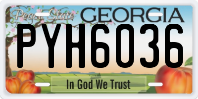 GA license plate PYH6036