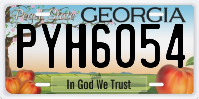 GA license plate PYH6054