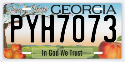 GA license plate PYH7073
