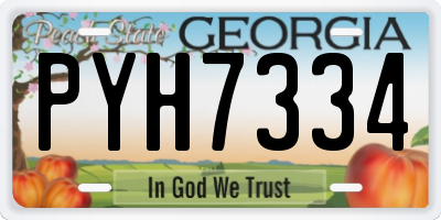GA license plate PYH7334