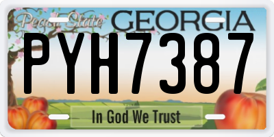 GA license plate PYH7387