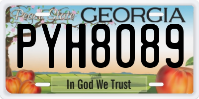 GA license plate PYH8089