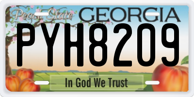GA license plate PYH8209
