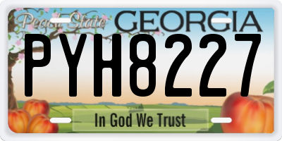 GA license plate PYH8227