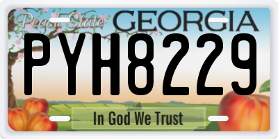 GA license plate PYH8229