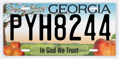 GA license plate PYH8244