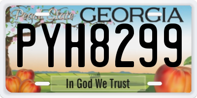 GA license plate PYH8299