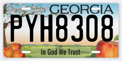 GA license plate PYH8308