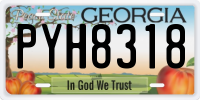 GA license plate PYH8318