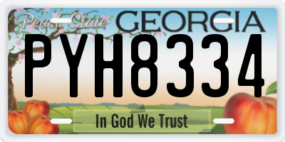 GA license plate PYH8334