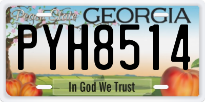 GA license plate PYH8514