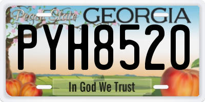 GA license plate PYH8520
