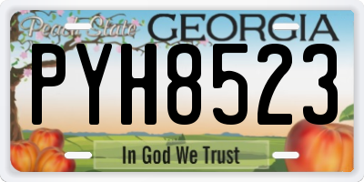 GA license plate PYH8523