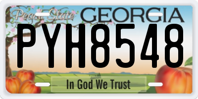 GA license plate PYH8548
