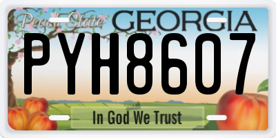 GA license plate PYH8607