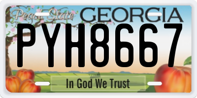 GA license plate PYH8667