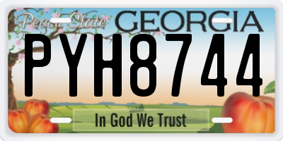 GA license plate PYH8744