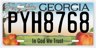 GA license plate PYH8768