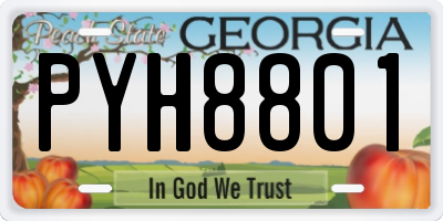 GA license plate PYH8801