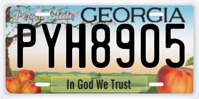 GA license plate PYH8905