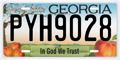 GA license plate PYH9028