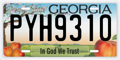 GA license plate PYH9310