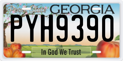 GA license plate PYH9390