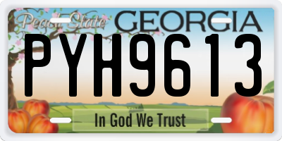 GA license plate PYH9613