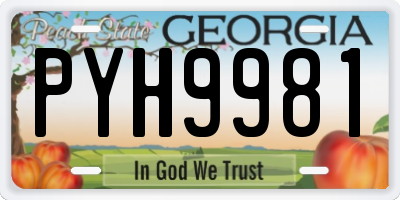GA license plate PYH9981