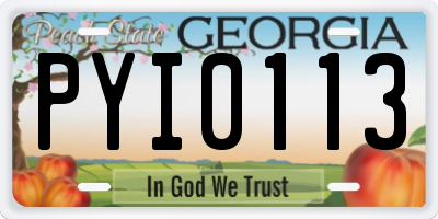 GA license plate PYI0113