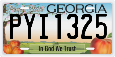 GA license plate PYI1325