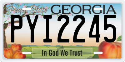 GA license plate PYI2245