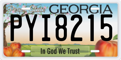 GA license plate PYI8215