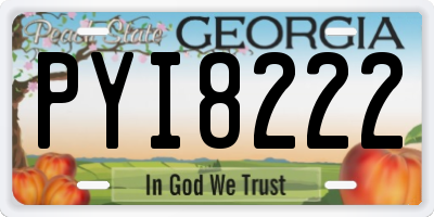 GA license plate PYI8222
