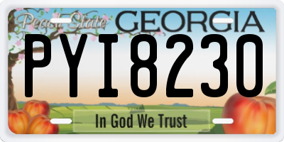 GA license plate PYI8230