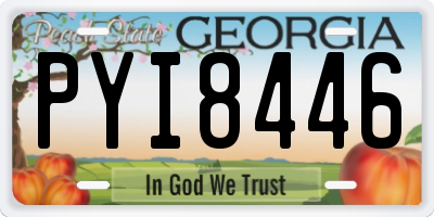 GA license plate PYI8446