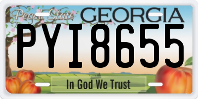 GA license plate PYI8655