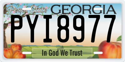 GA license plate PYI8977