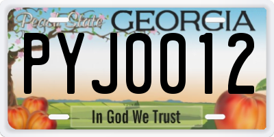 GA license plate PYJ0012