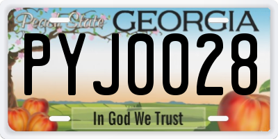 GA license plate PYJ0028