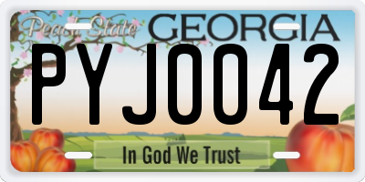 GA license plate PYJ0042