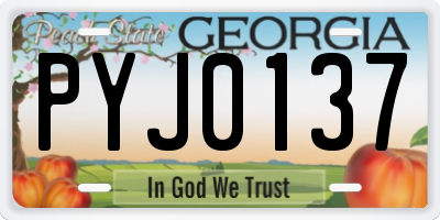 GA license plate PYJ0137