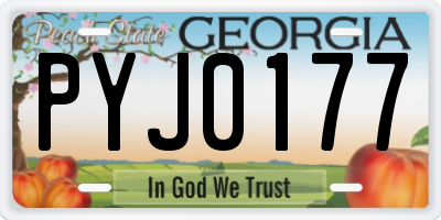 GA license plate PYJ0177
