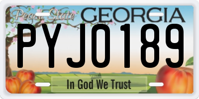 GA license plate PYJ0189