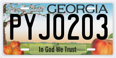 GA license plate PYJ0203