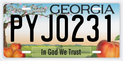 GA license plate PYJ0231